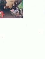 CCF11042009_00001.jpg