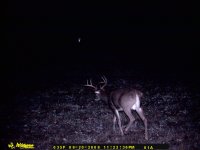 Game Camera 150.jpg