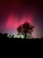 IMG_3757.jpeg