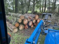 IMG_1968.jpeg