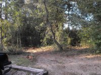 DSCF0517.JPG