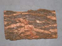 Moss A Frass 1.jpg