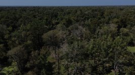 DJI_0262.JPG
