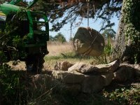 DSCF1708 [Ré§¸olution de l'é¦—ran].JPG