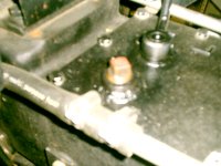 IMAG0256.JPG