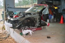 XR6 cut.jpg
