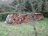 DSCF1901 [Ré§¸olution de l'é¦—ran].JPG