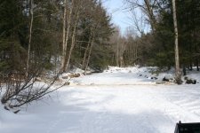 IMG_1921 resize.jpg
