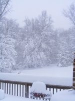 DSCF0854.jpg