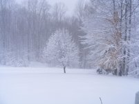 DSCF0858.jpg