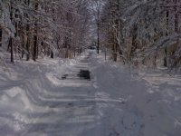 IMG_1500.JPG