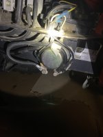 IMG_6399.jpeg