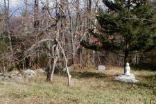 8-82446-cemetary.jpg