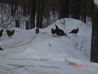 visitors-4.JPG