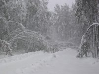 IMG_0015.jpg