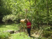 Giraffe 8.jpg