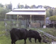 Barn 110.jpg