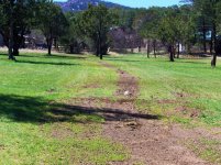 Completed Sprinklers 001.jpg