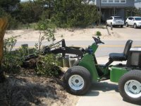 Remove old bush.JPG