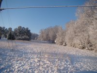 DSC05655.jpg