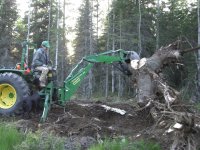 970Stump.JPG