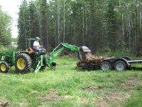 970Stump2.JPG
