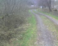 Mar15_0003.jpg