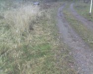 Mar15_0004.jpg