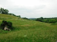 DSCN7188.JPG