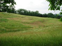 DSCN7190.JPG
