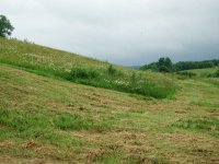 DSCN7202.JPG