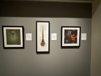 IMG_4212[1].JPG