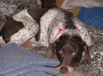 Copy of Picture 307.jpg