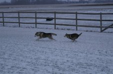 PICT0066.jpg