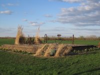 Riedel Farm Flowers.jpg