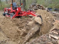 stump_small.JPG