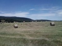 Summer of 2010 038.jpg