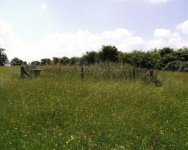 chilton_polden-1.jpg