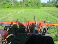 IMG_8298.JPG