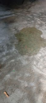 IMG_20241027_141930758.jpg
