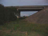 6-202294-tractortracks1.jpg