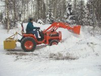 343398-BotaSnow01.JPG