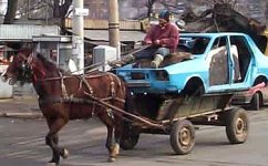 35-204409-horsecar.jpg