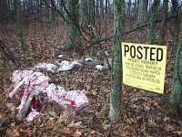 8-85964-Deer-a.jpg