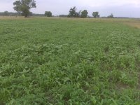 foodplot.jpg