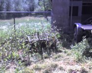 Jul20_0006.jpg