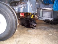 toby&tires.jpg