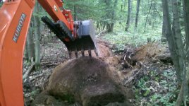 AfterDigging.jpg