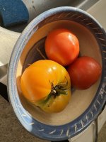 IMG_4237[1].JPG
