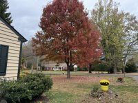 IMG_4236[1].JPG